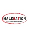 Malesation